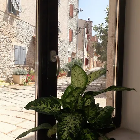 Barbiere Guest house Bale